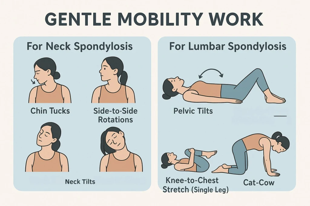 2 1 12148529b6 Spondylosis Treatment Home Remedies That Work